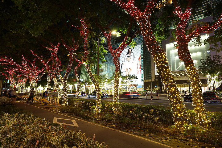 新鏡入手 RF15-30mm f/4.5-6.3超廣角測試