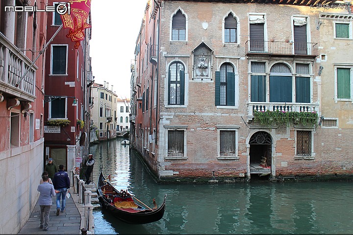 [大頭貓的海島] 瀉湖上的奇蹟美城 威尼斯 (Venice)