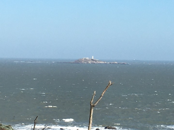金門.環島「尋獅記」