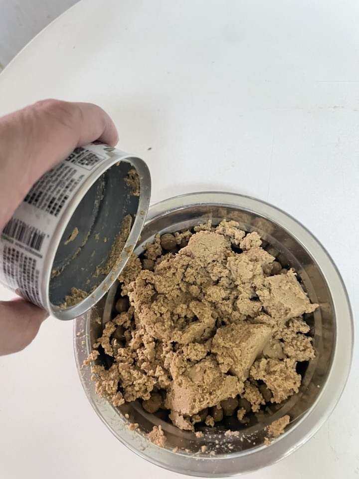 毛孩的感恩節加餐分享