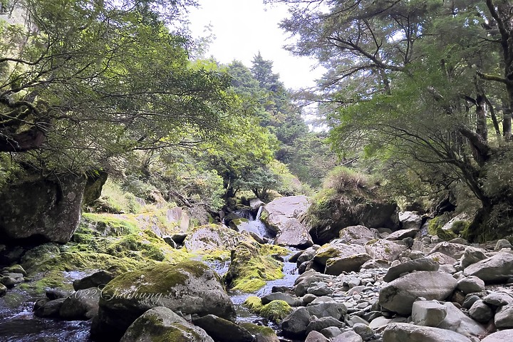 點我看大圖 南二段縱走 (上) - 行走在美麗的戒茂斯山徑