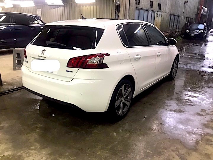 308T9-全車換色全記錄