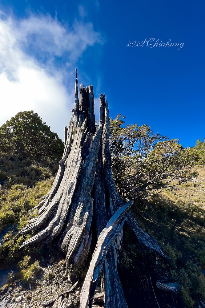 點我看大圖 南二段縱走 (下) - 要登南大水窟山前發生918強震