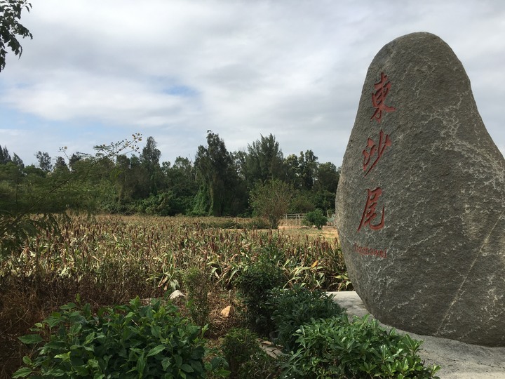 金門.環島「尋獅記」