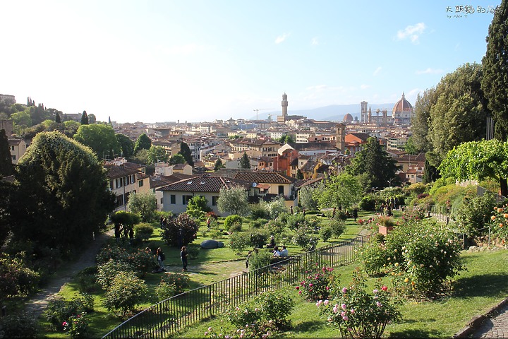 [大頭貓的海島] 佛羅倫斯權貴家族梅迪西的博物館 (Medici Family's Uffizi in Florence)