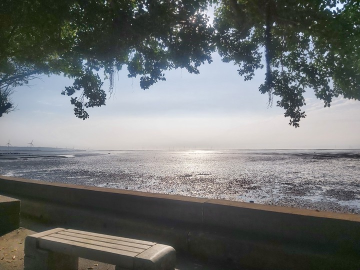 17公里海岸線，沒走完的看鳥行程