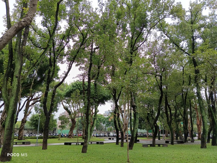 雙11 第一買-POCO M5 開箱