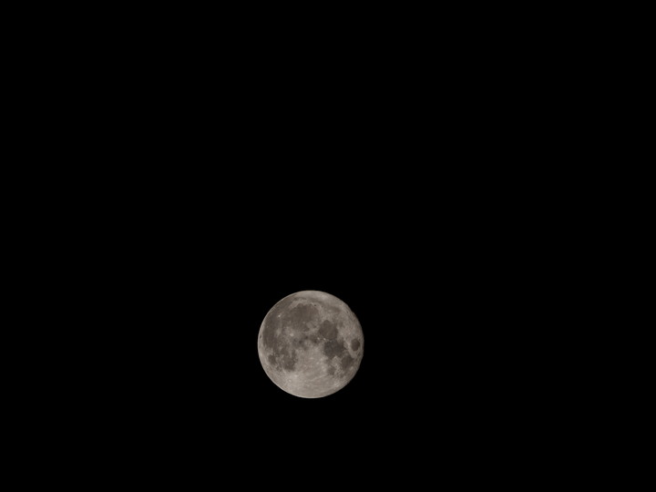 點我看大圖 m43望遠鏡頭比較 14-140mm vs 40-150mm pro vs 75-300mm
