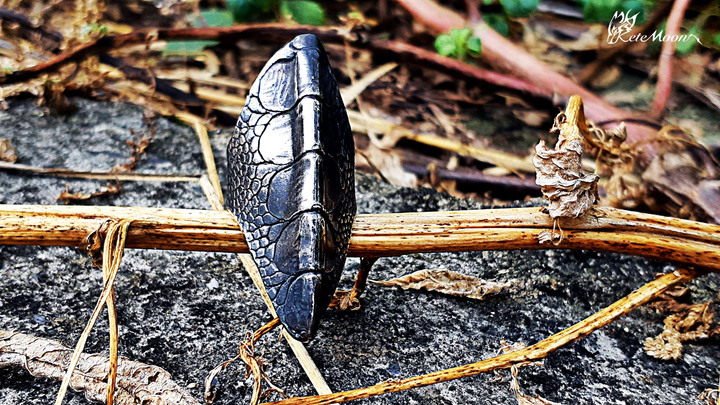 Scarabones-猛禽爪紋銀戒