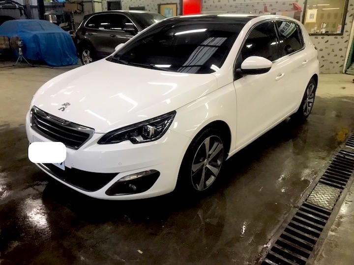 308T9-全車換色全記錄