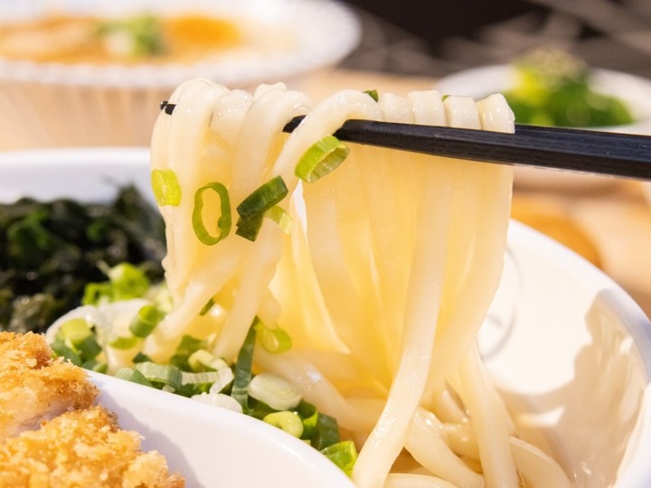台中平價日料【丰樂食堂】讚岐烏龍、豬排咖哩百元享雙拼!