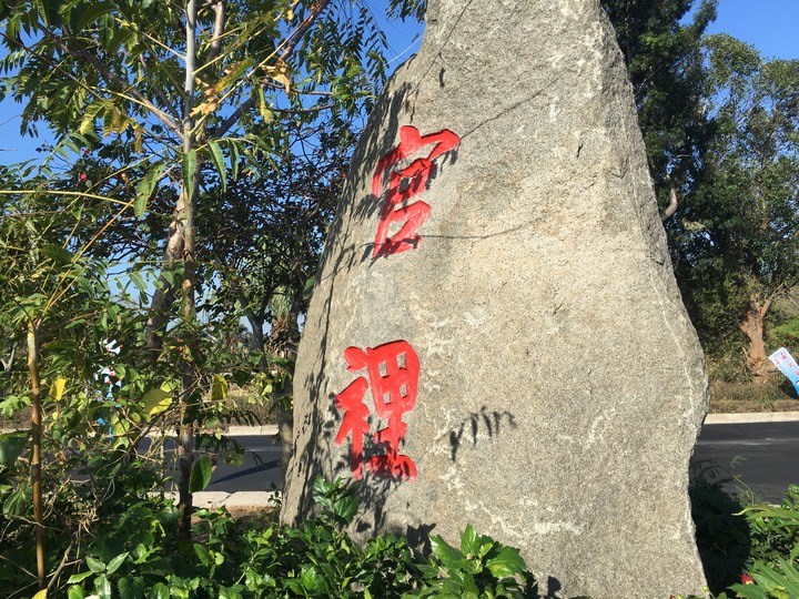 金門.環島「尋獅記」