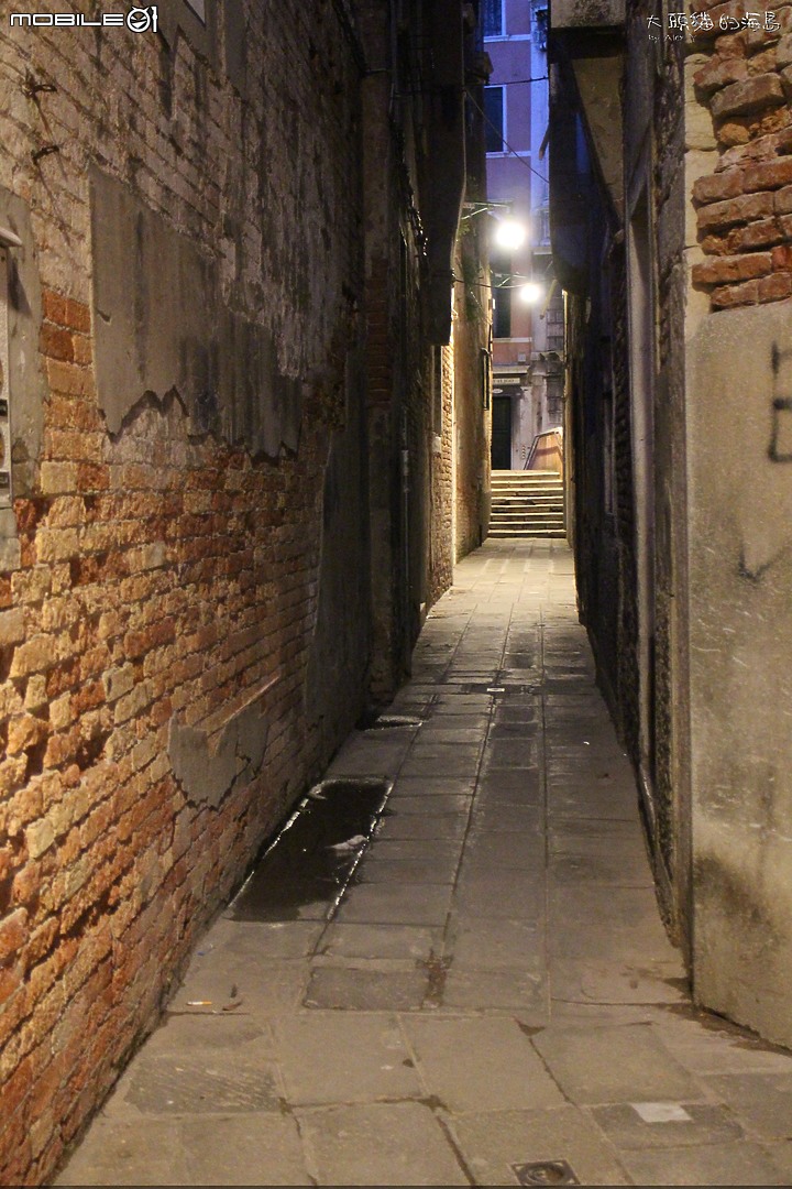 [大頭貓的海島] 瀉湖上的奇蹟美城 威尼斯 (Venice)