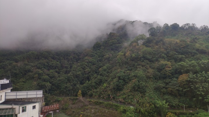 台21新中橫 東埔溫泉 塔塔加 阿里山 重機旅行 機車旅行 by SYM Joymax Z300 黃牌大羊