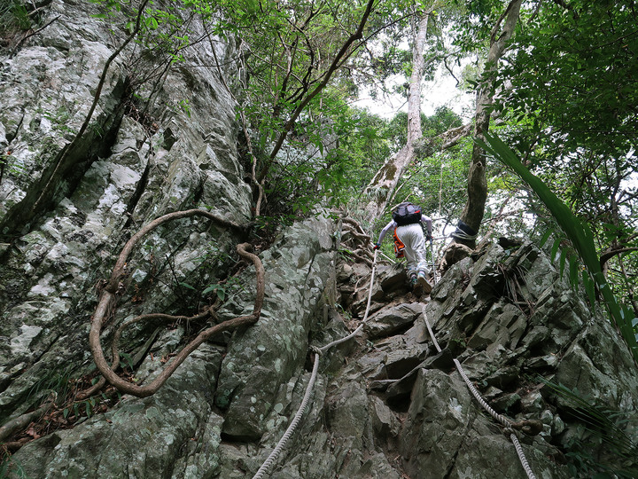 點我看大圖 【 屋我尾山】麗陽線真的很難爬 / 谷關七雄終於全數收集入袋啦!