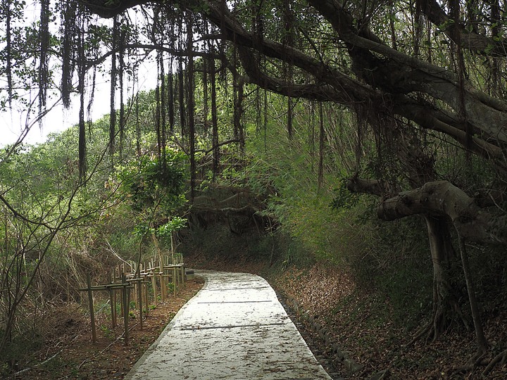 西嶼彈藥本庫、西堡壘、西嶼東臺、東堡壘、外垵餌砲 — 西嶼之軍事文化地景 — 2022冬遊澎湖遊記 第三部