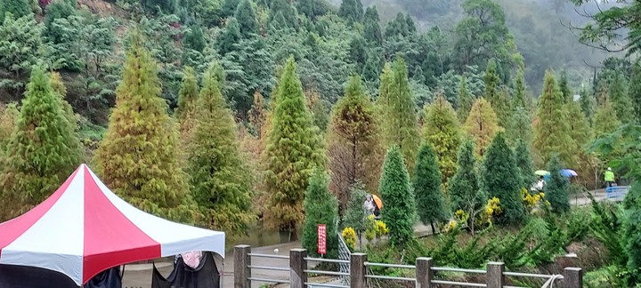彰化~南投~台中~苗栗兩天一夜累累遊
