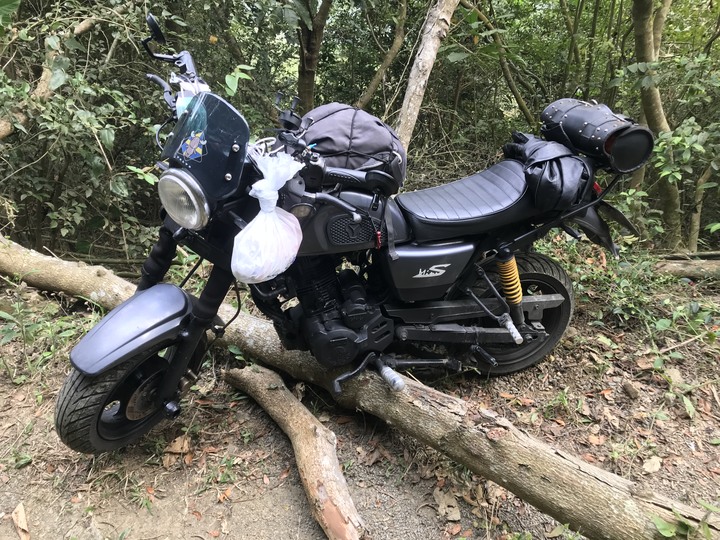 鄒鄒週週環島--車小志氣高小雲豹之死人骨頭秘徑