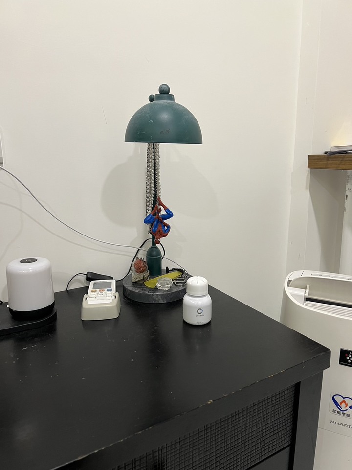 過敏人租屋分享