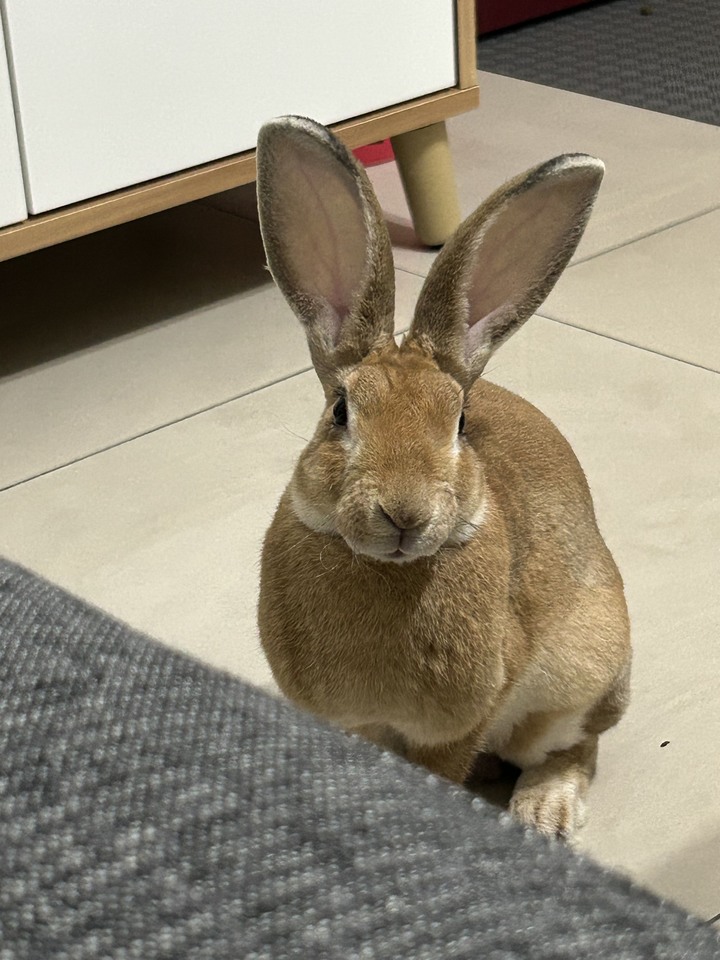 2.1KG