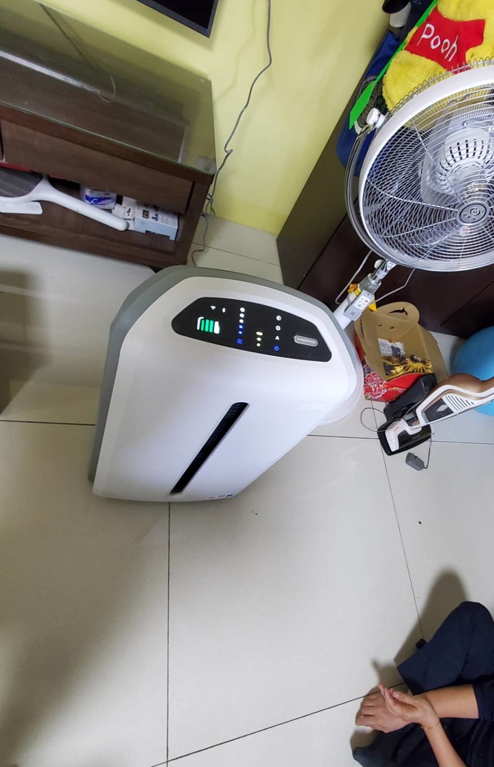 毛孩真的是行走的噴毛機!!!
