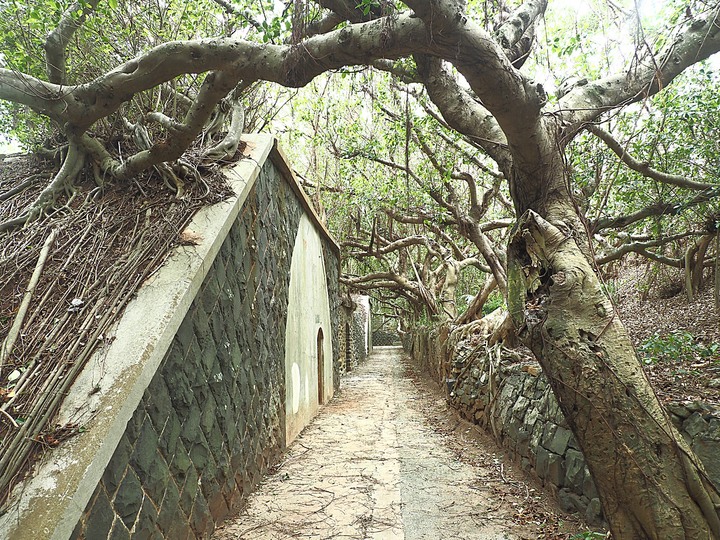 西嶼彈藥本庫、西堡壘、西嶼東臺、東堡壘、外垵餌砲 — 西嶼之軍事文化地景 — 2022冬遊澎湖遊記 第三部