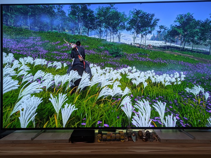 點我看大圖 ~初試 OLED cp值最高的Philips 55oled806 再見了LED~