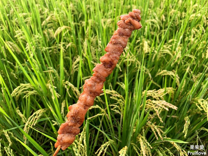 點我看大圖 台中美食-品項不多卻每個都是強項,大腸包小腸更是料多味美