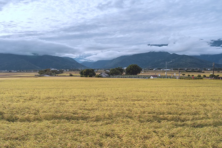 【遊記】花東。A7M3+Batis 25mm & 40mm