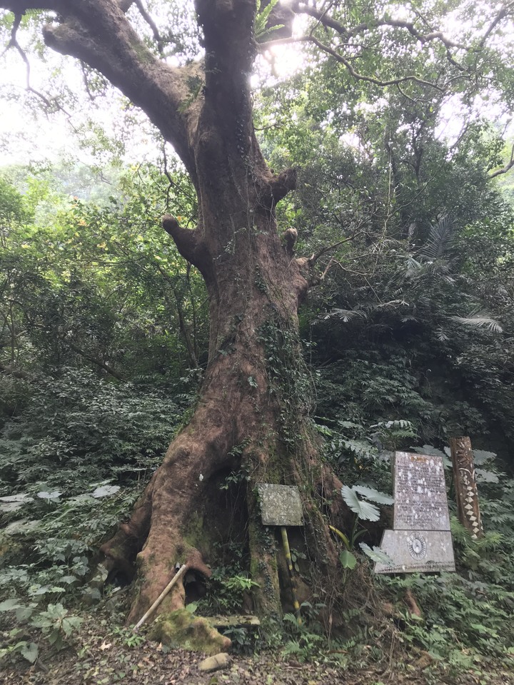 鄒鄒週週環島--車小志氣高小雲豹之死人骨頭秘徑