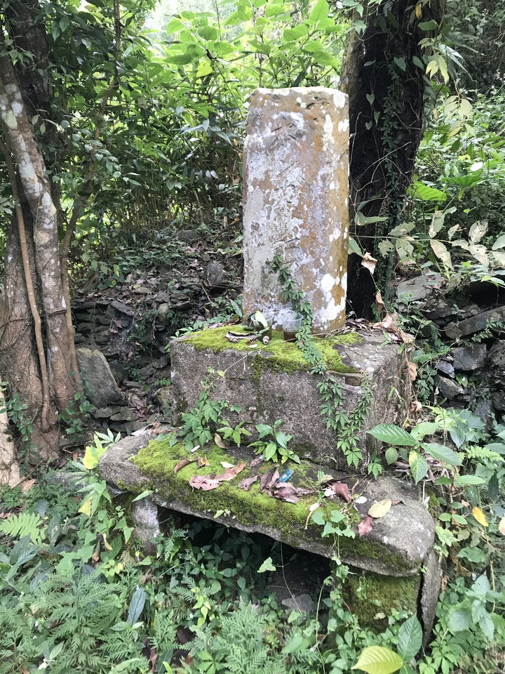 鄒鄒週週環島--車小志氣高小雲豹之死人骨頭秘徑