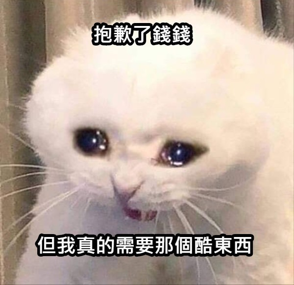 大家會去哪裡買席夢思床墊比較划算？