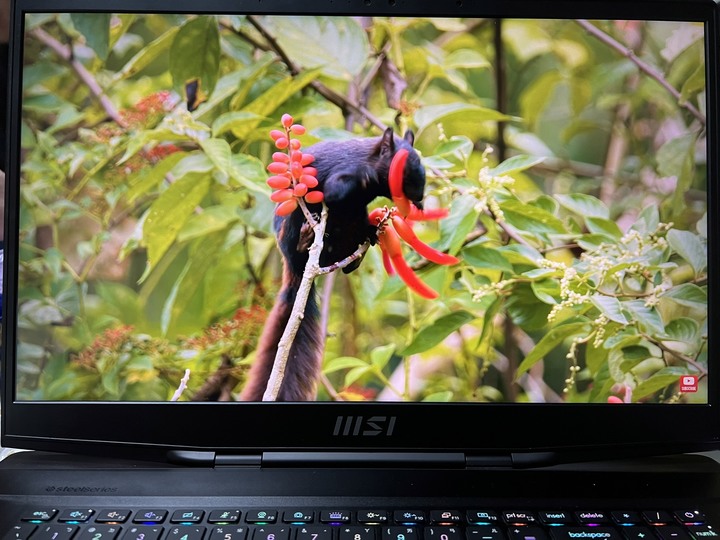 MSI Stealth GS77電競筆電 二個月間心得分享