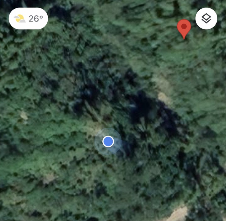 鄒鄒週週環島--車小志氣高小雲豹之死人骨頭秘徑