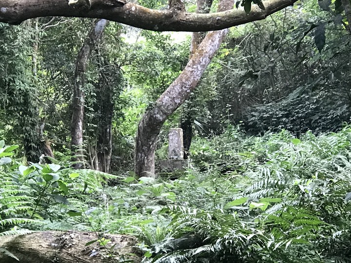 鄒鄒週週環島--車小志氣高小雲豹之死人骨頭秘徑