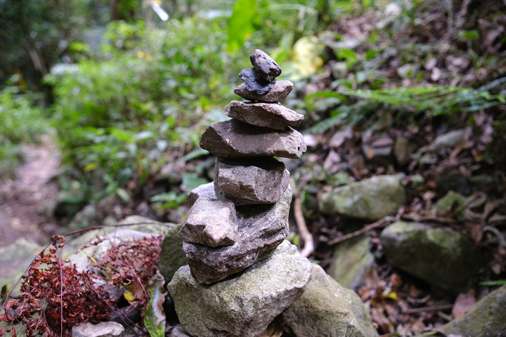 點我看大圖 【 屋我尾山】麗陽線真的很難爬 / 谷關七雄終於全數收集入袋啦!
