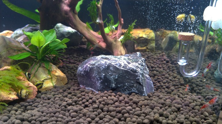 地方爸爸 的 閒暇時光 - 魚缸造景 - 1尺半魚缸造景 -模擬溪景岸邊 by地方爸爸