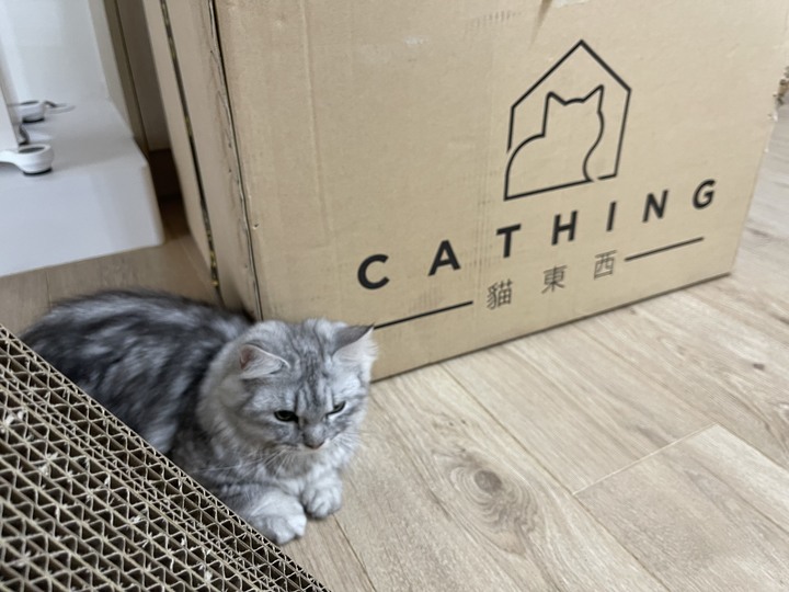 新手奴才-貓的東西小分享by兩隻小麻豆