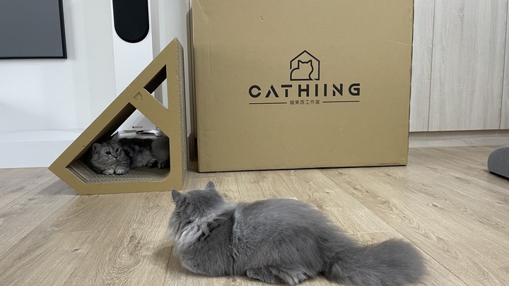 新手奴才-貓的東西小分享by兩隻小麻豆