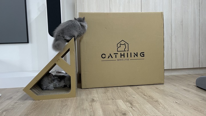 新手奴才-貓的東西小分享by兩隻小麻豆