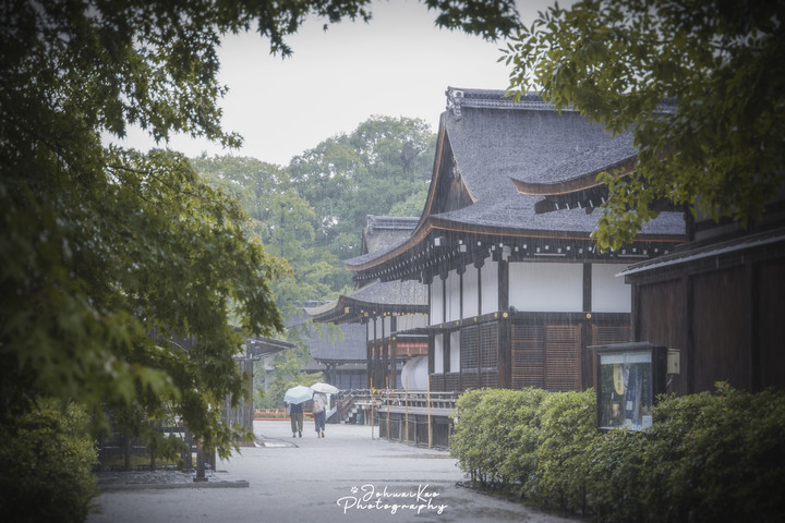 【D7100】2019年夏天，我在京都的12天回憶