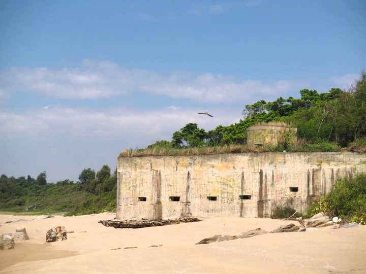 金門.環島「尋獅記」