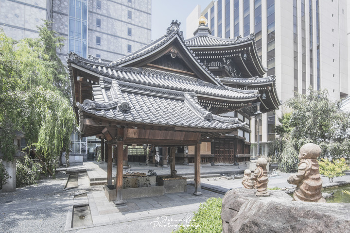 【D7100】2019年夏天，我在京都的12天回憶