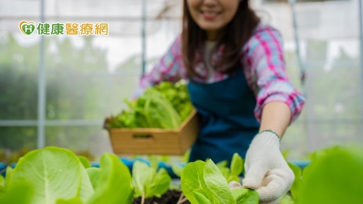 點我看大圖 6旬婦積極治療、平時愛種菜竟能與「癌王」共存3年