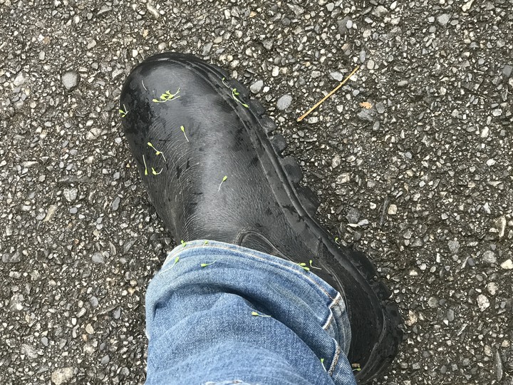 鄒鄒週週環島--車小志氣高小雲豹之死人骨頭秘徑