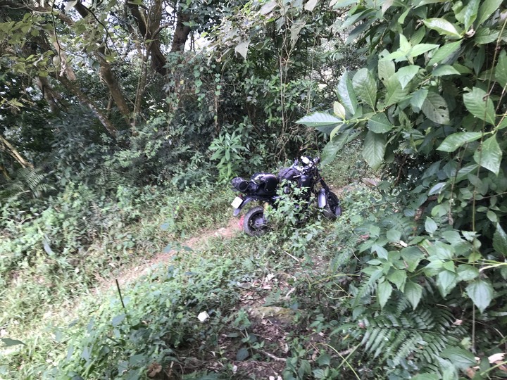 鄒鄒週週環島--車小志氣高小雲豹之死人骨頭秘徑