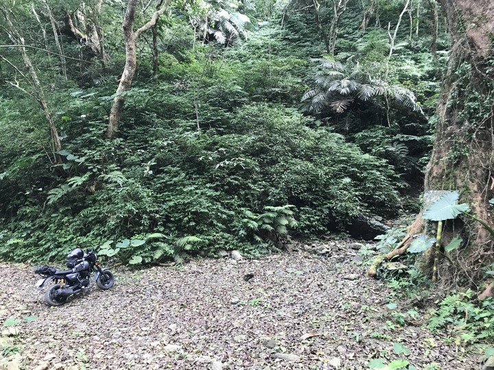 鄒鄒週週環島--車小志氣高小雲豹之死人骨頭秘徑