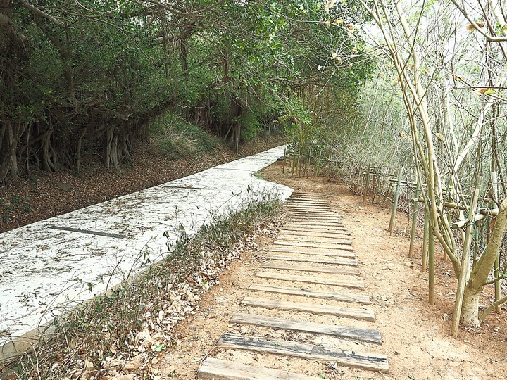 西嶼彈藥本庫、西堡壘、西嶼東臺、東堡壘、外垵餌砲 — 西嶼之軍事文化地景 — 2022冬遊澎湖遊記 第三部