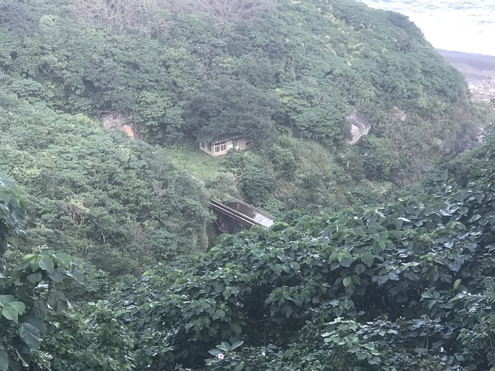 鄒鄒週週環島--車小志氣高小雲豹之死人骨頭秘徑