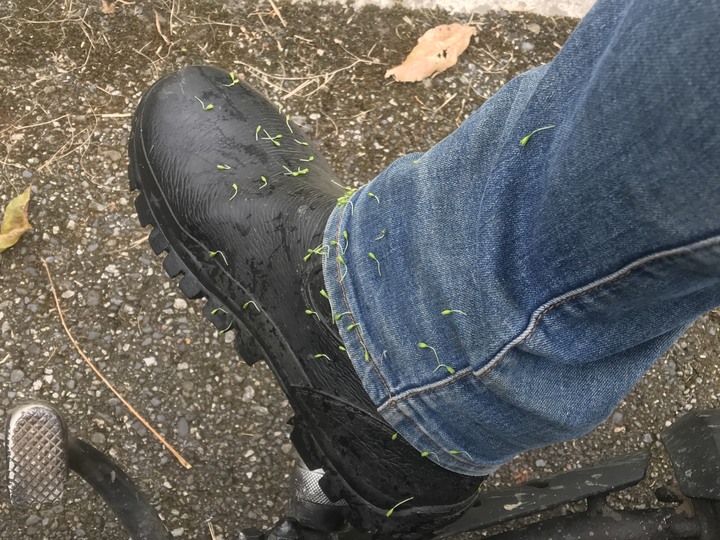 鄒鄒週週環島--車小志氣高小雲豹之死人骨頭秘徑